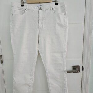 LOFT Modern Skinny Regular Hem